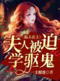 狐夫在上:夫人被迫学驱鬼