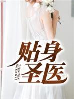 贴身圣医陆鸿