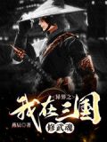 异界之我在三国修武魂TNT下载