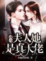 战少夫人她是真大佬安意岚