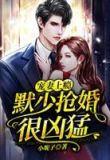 宠妻上瘾:默少抢婚很凶猛