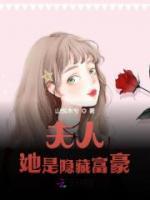 夫人是首富小说