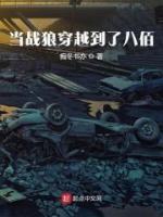 当战狼穿越到了八佰小说