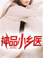 神品小乡医小说主人公梁惊弦和方冰
