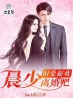 旧爱新欢:晨少离婚吧!