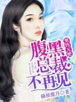 腹黑总裁不再见:契约天使