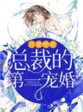 总裁的丑媳妇