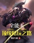 全能王:顶级陪玩之路小说