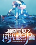 神奇宝贝:闪光吸引者