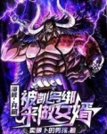 海贼:开局被凯多绑来做女婿
