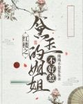 红楼之黛玉的姐姐不好惹