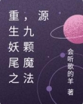 重生妖尾之,九颗魔法源