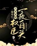 她死后冷冰冰的权臣小说