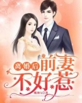 离婚后,前妻不好惹