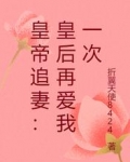 皇帝追妻:皇后再爱我一次