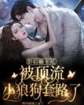 影后的霸道总裁gl