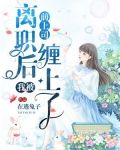 离职后我被前上司缠上了(又名:渣总裁今天后悔了吗)