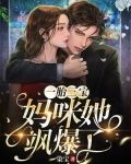 一胎三宝:妈咪她飒爆了
