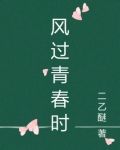 风过青春时