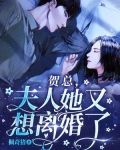 贺总夫人又上热搜了 小说