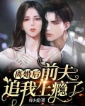 离婚后,前夫追我上瘾了