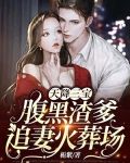 天降三宝:腹黑渣爹追妻火葬场
