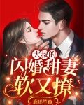 大叔的闪婚甜妻软又撩