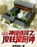 四合院:神级选择之傻柱是厨神
