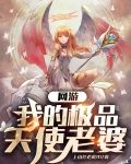 网游:我的极品天使老婆