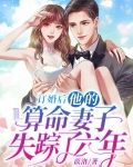 订婚后,他的算命妻子失踪了六年百度云下载