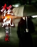 狂飙:重案大队