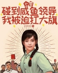 七零:碰到咸鱼领导我被迫扛大旗