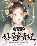 清穿之好孕皇贵妃