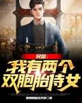 民国:我有两个双胞胎侍女