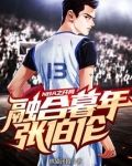 nba之开局融合暮年张伯伦