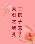 亮剑之我孔二愣子来了