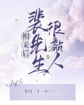 相亲后裴先生很粘人的小说