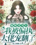 《渣了暴戾元帅后全星际都炸了》