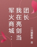 军火商城:我在亮剑当团长