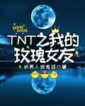 TNT之我的玫瑰女友
