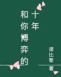 和你博弈的十年