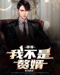 等等,我不是赘婿