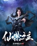仙禁兑换码在哪