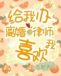 给我办离婚的律师喜欢我
