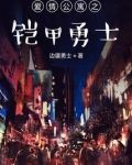 爱情公寓之铠甲勇士