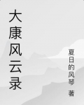 大康朝风云录