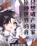 在原神世界的我只想破产回家