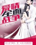 爱情全面战争