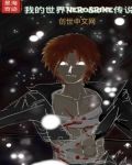 我的世界Herobrine传说