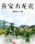 黄有龙家族